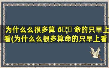 为什么么很多算 🦁 命的只早上看(为什么么很多算命的只早上看一个人)